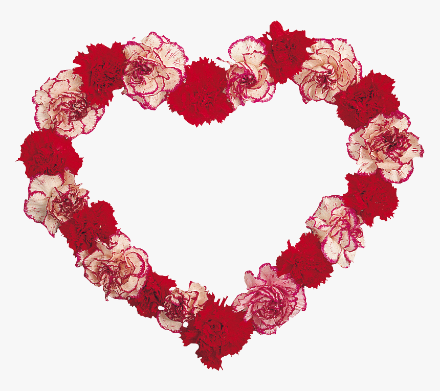 Transparent Coeur Png - Floral Design, Png Download