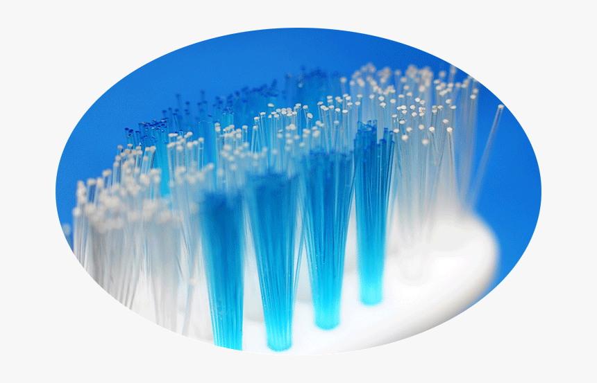 Toothbrush Bristle, HD Png Download