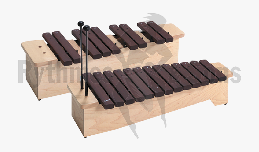 Cadeson Soprano Xylophone C5-a6 - Xylophone, HD Png Download
