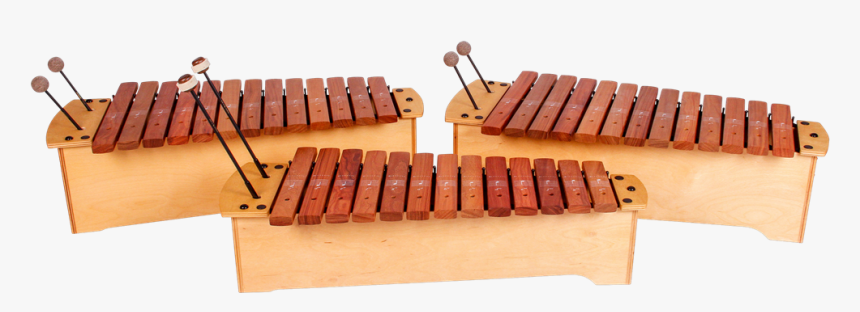 205507 0 - Glockenspiel, HD Png Download