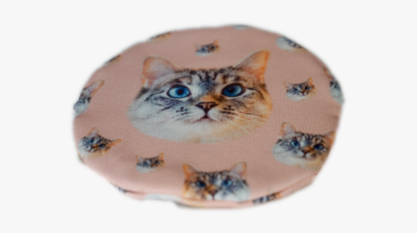 Tabby Cat, HD Png Download