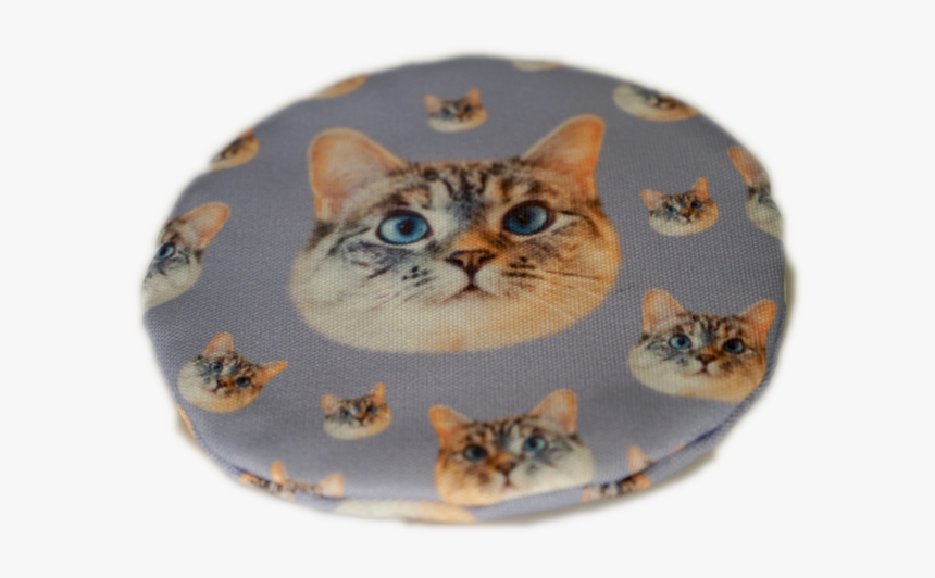 Tabby Cat, HD Png Download