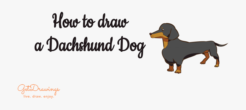 How To Draw A Dachshund Dog - Dachshund, HD Png Download