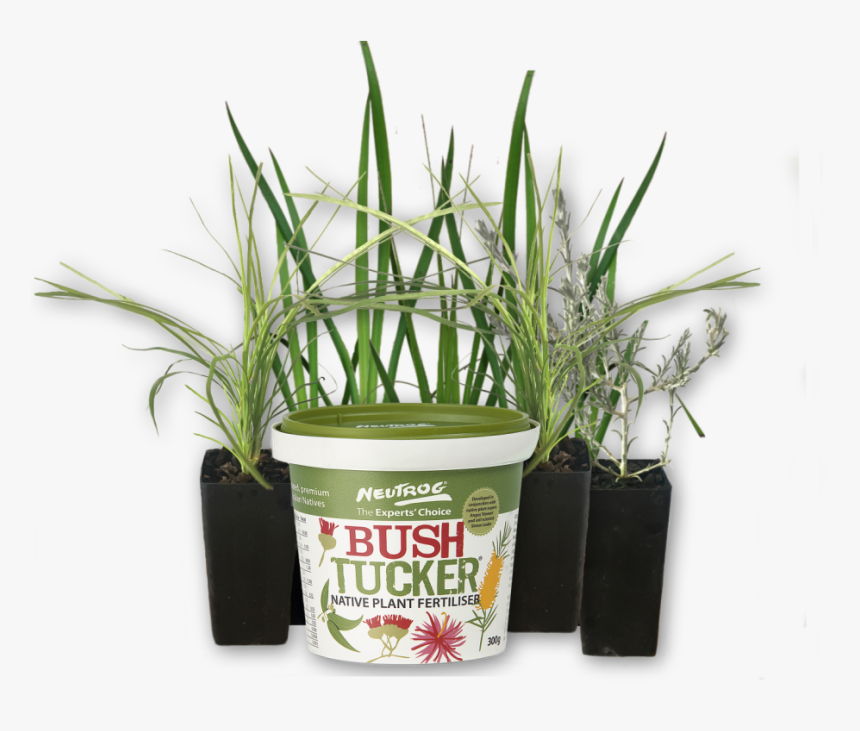 Tube Sized Australian Plants Online Sales Neutrog Bush - Sweet Grass, HD Png Download