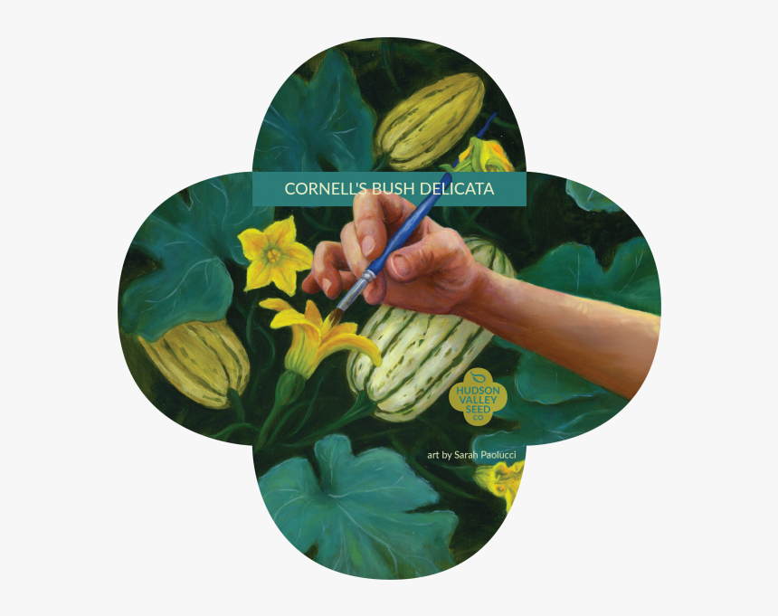 Cucumber, HD Png Download