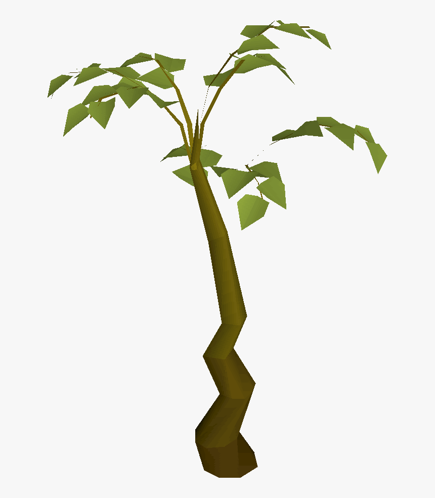 Transparent Children Planting Clipart - Tall Plant Clipart, HD Png Download