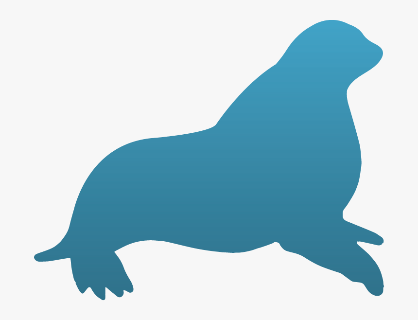 California Sea Lion Clipart , Png Download - California Sea Lion, Transparent Png
