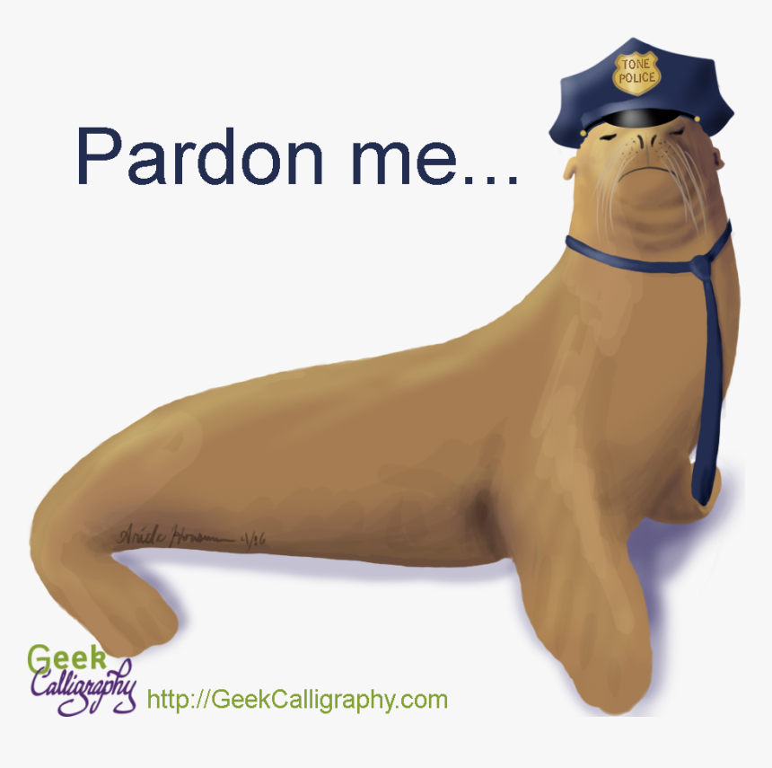 Sea Lion Png, Transparent Png