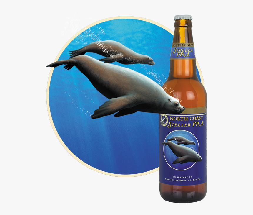 North Coast Stellar Ipa, HD Png Download
