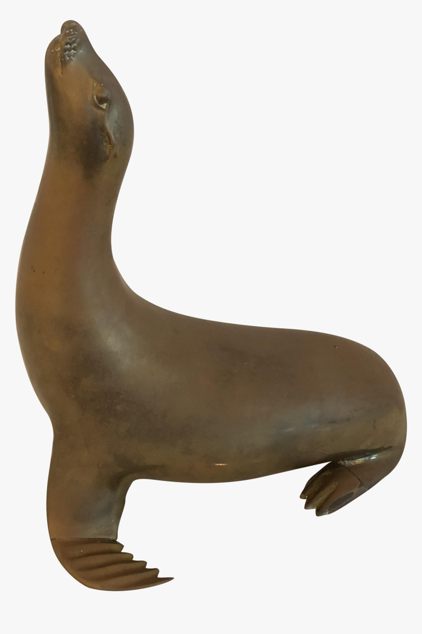 Harborseal Png Clipart - California Sea Lion, Transparent Png