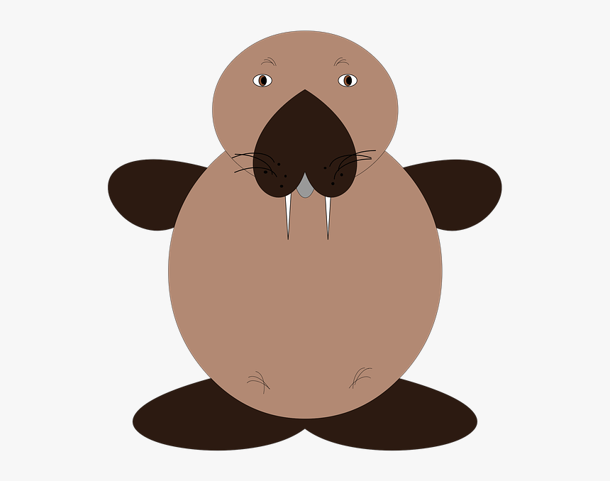 The Sea Lion, Animals, Mammal, Animal, Wild - Animali Di Mare Png, Transparent Png