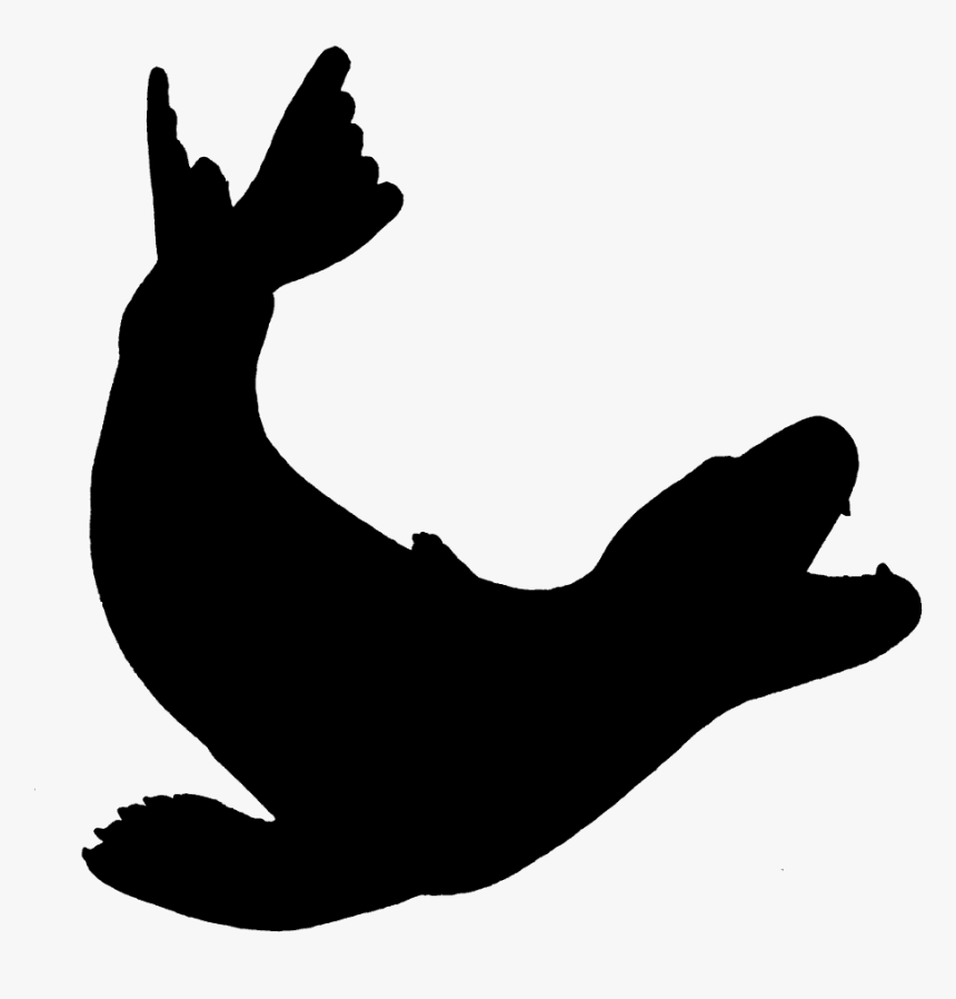 Seals & Sea Lions Leopard Earless Seal - Sea Lion Silhouette, HD Png Download