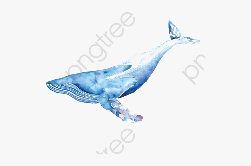Watercolor Whale Clipart Blue - Watercolor Whale Png, Transparent Png
