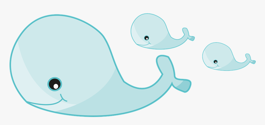 Cartoon Pictures Of Whales - Cartoon, HD Png Download