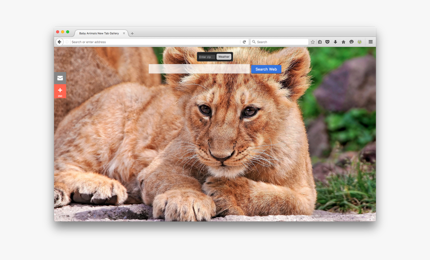 Hd Wallpapers Lions Animals, HD Png Download