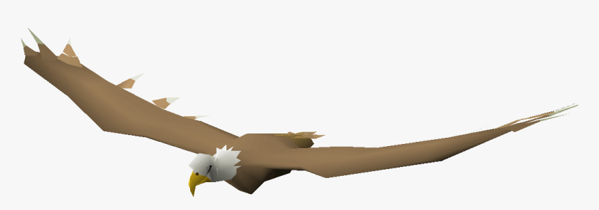 Transparent Eagle Flying Png, Png Download