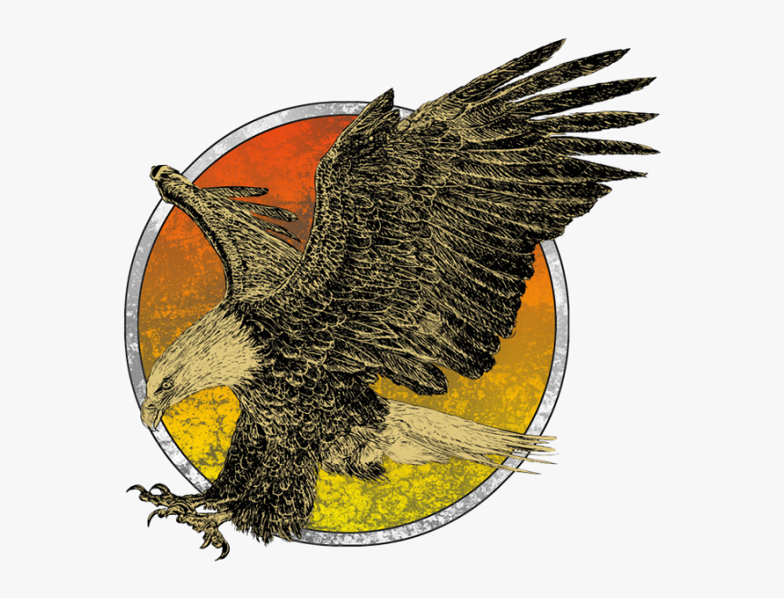 Eagle , Png Download, Transparent Png
