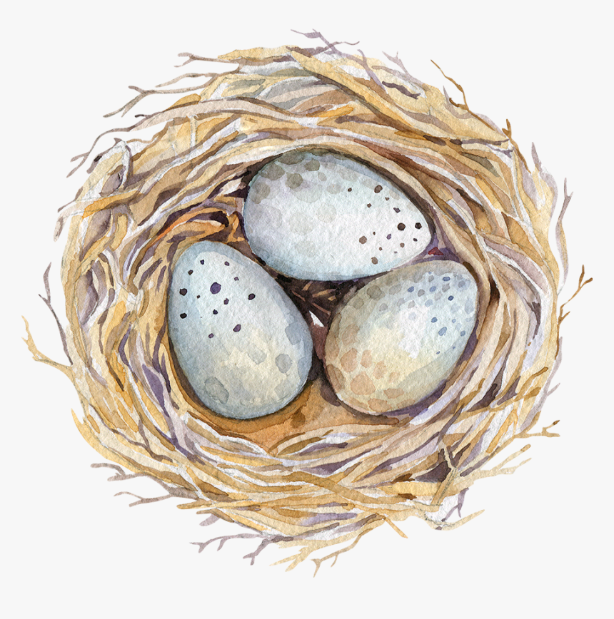 Easter Watercolor Birds Nest, HD Png Download