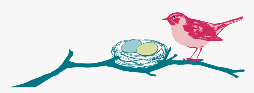 Best Nest Wellness Mascot Bird And Nest Illustration - Methylfolate Drops, HD Png Download
