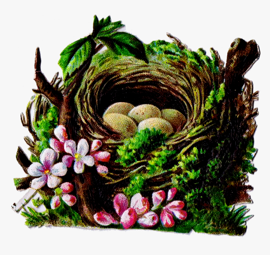 Bird S Nest Clipart Vintage - Floral Design, HD Png Download