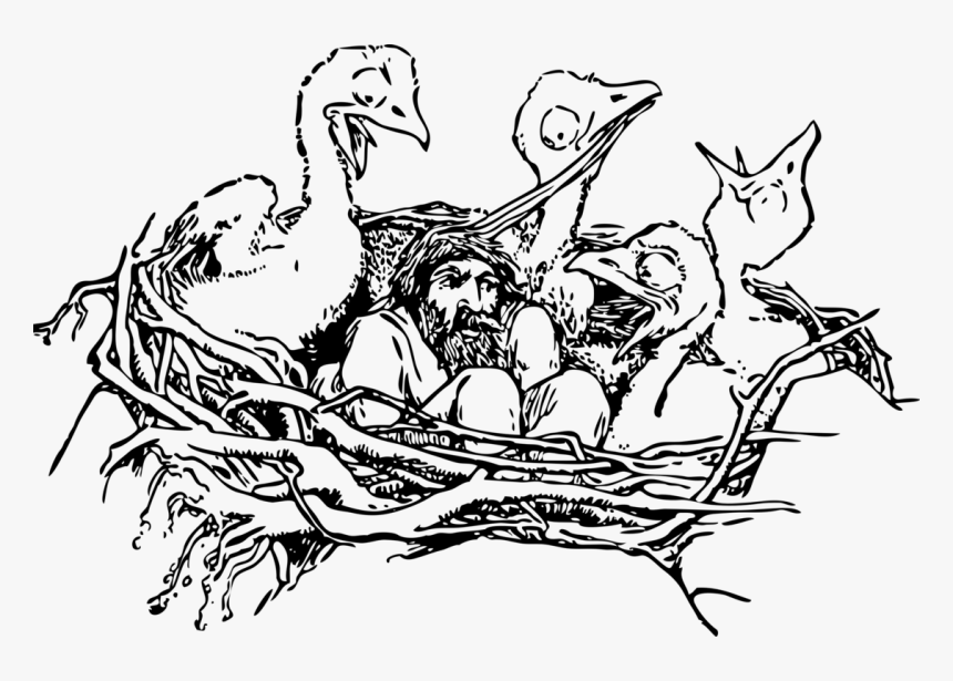 Nest Clipart Line Drawing - Bird With Nest Black And White, HD Png Download