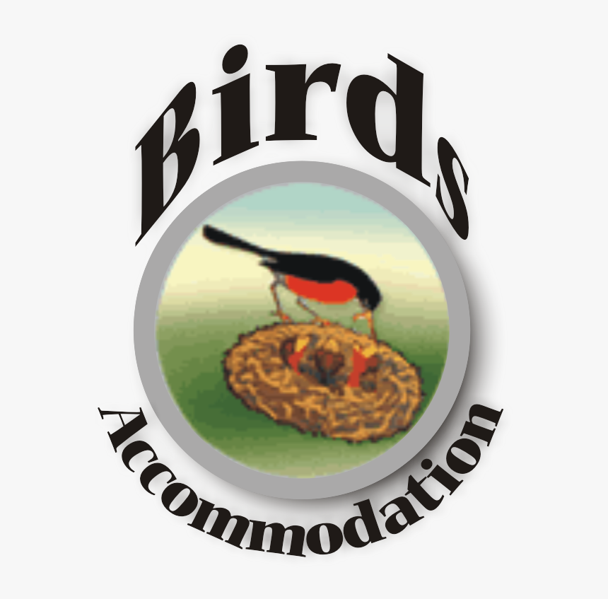 Rolex Wall Clock White, HD Png Download