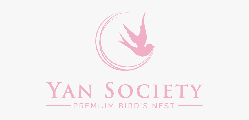 Yan Society Premium Bird S Nest Online Store - Lake County, Florida, HD Png Download