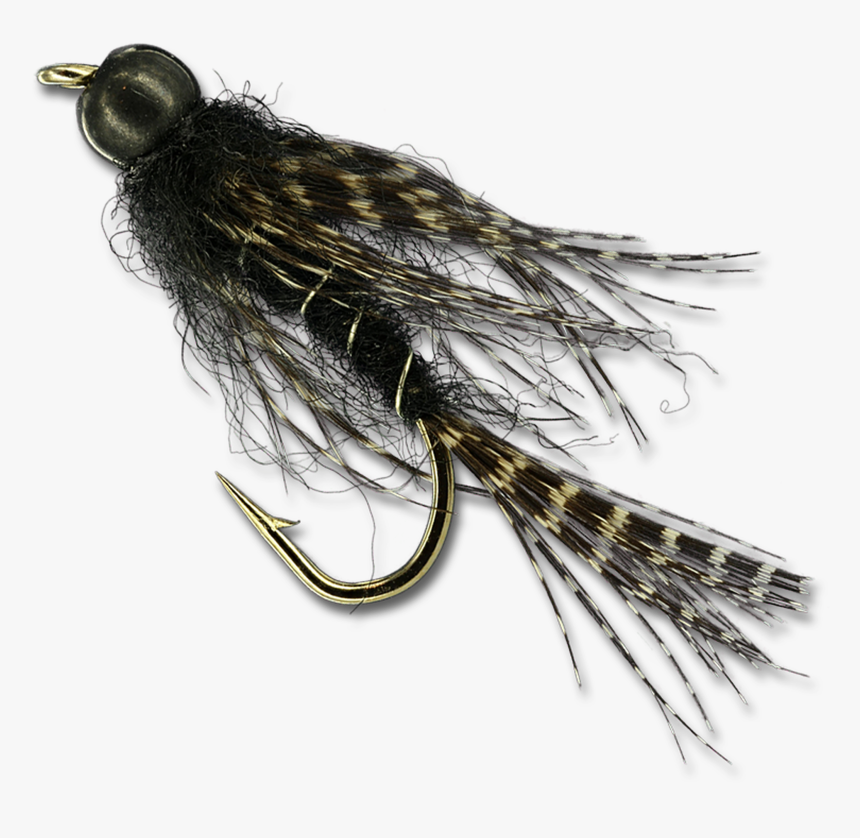 Bb Black Birds Nest - Insect, HD Png Download