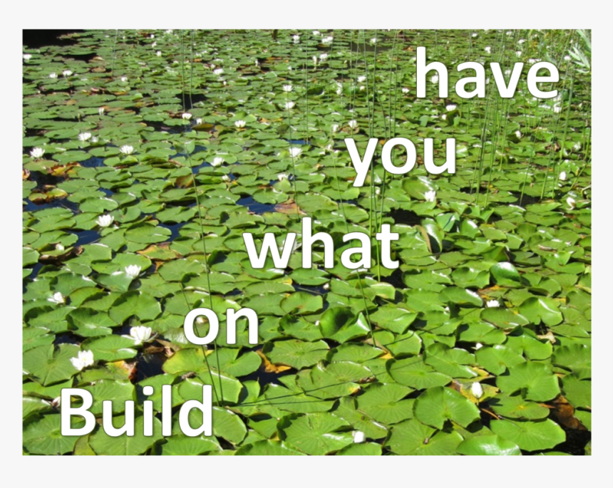 Lotus, HD Png Download