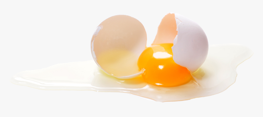 Still Life Photography, HD Png Download