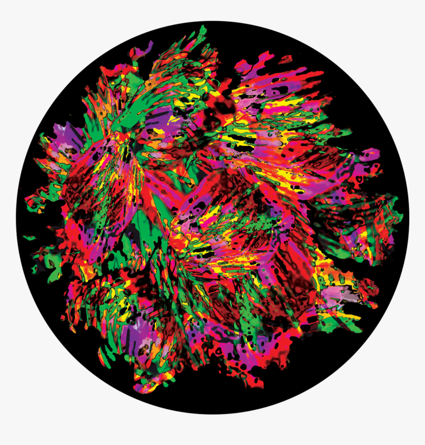 Circle, HD Png Download