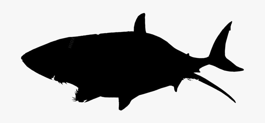 Killer Whale Png Logo - Tuna Icon Png, Transparent Png