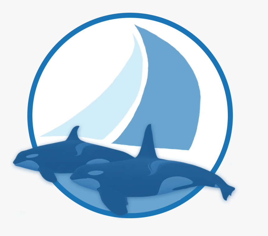 Sailing With Killer Whales, HD Png Download