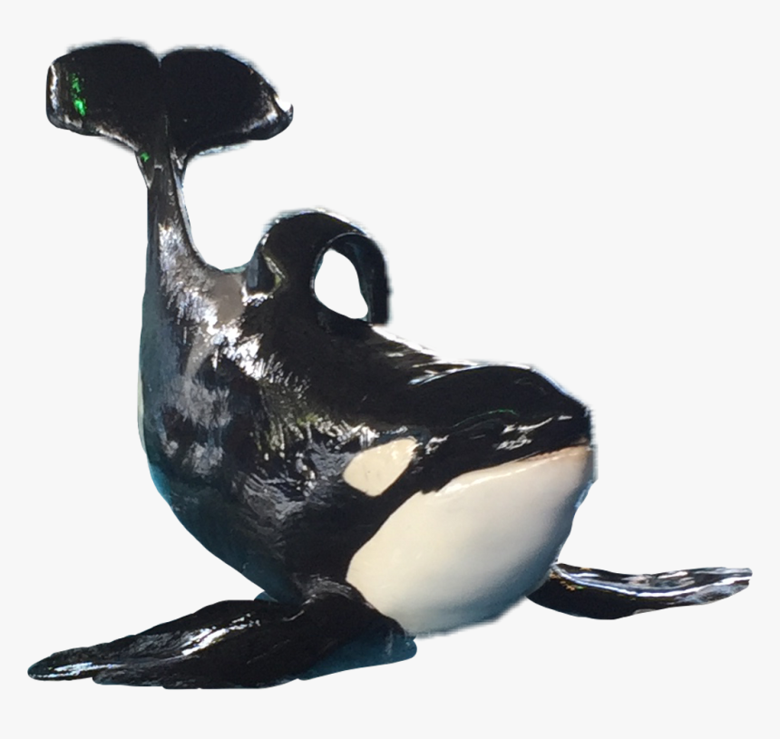 Killer Whale , Png Download - Killer Whale, Transparent Png