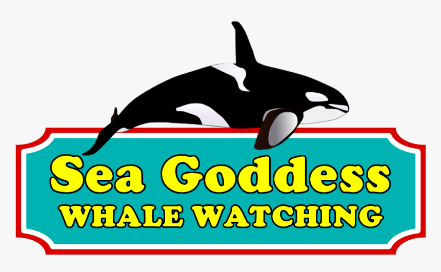 Killer Whale, HD Png Download