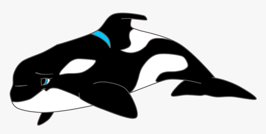 Dolphin Clipart Images Black And White, HD Png Download