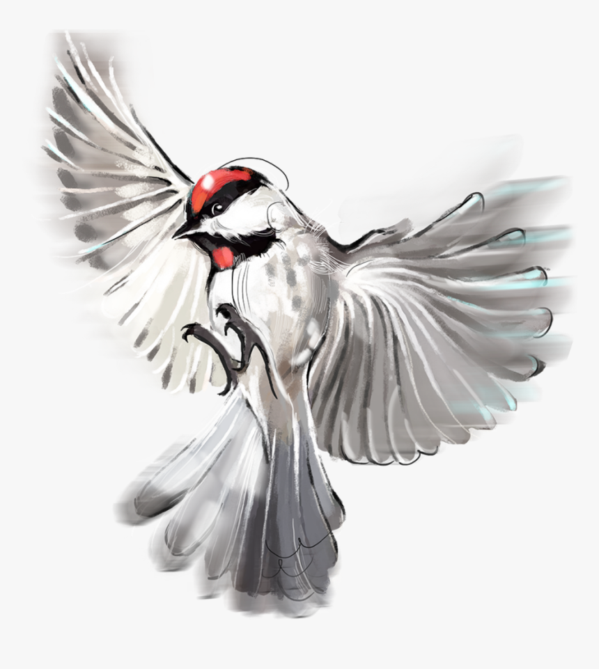 Prayer Hands Png, Transparent Png