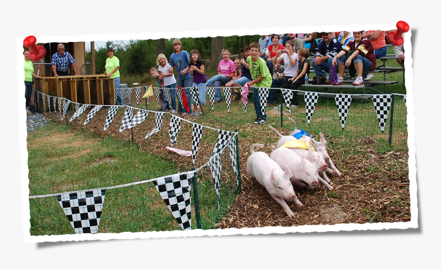 Farm Fence Png, Transparent Png