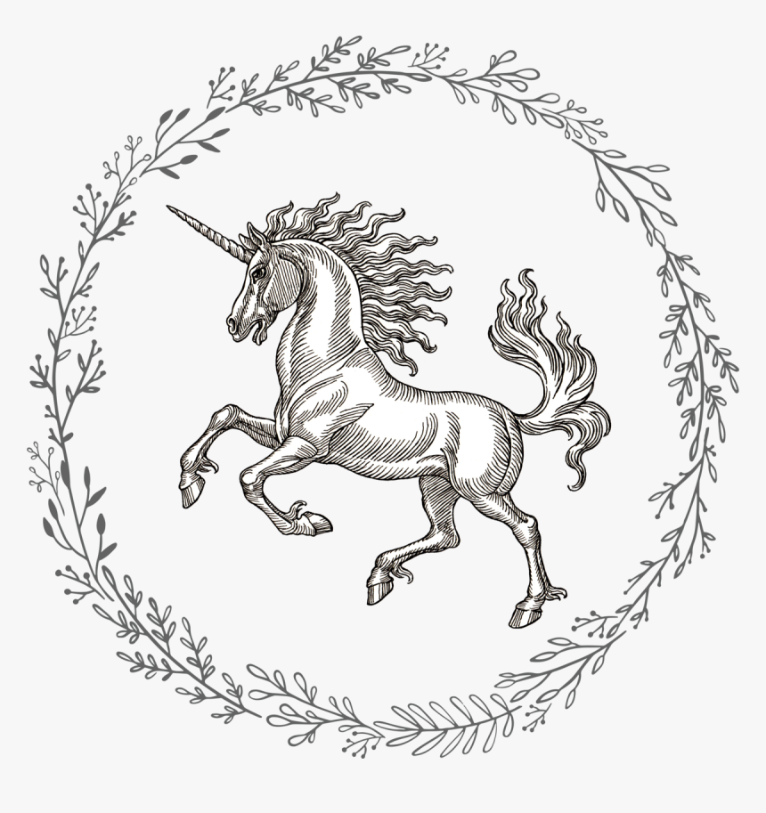 Floral Circle Hand Drawn, HD Png Download