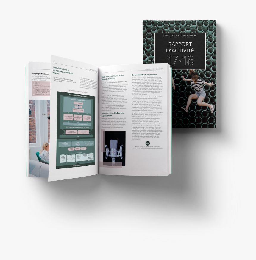 Business Report Of Syntec French Federation Of Recruitment, - Brochure, HD Png Download