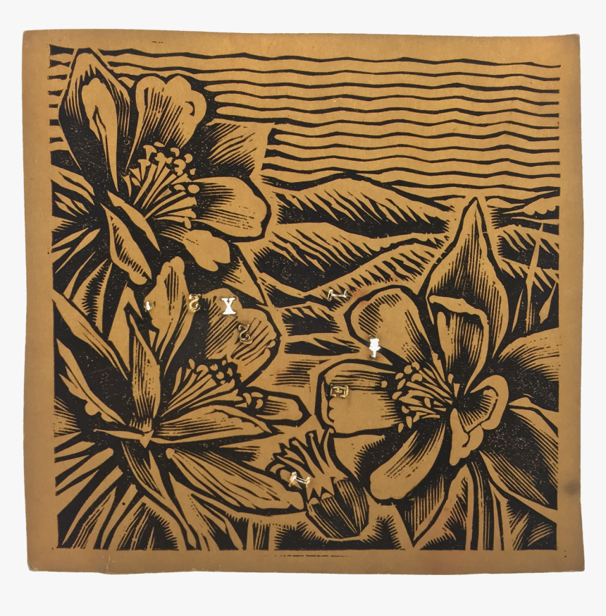 Lily, HD Png Download