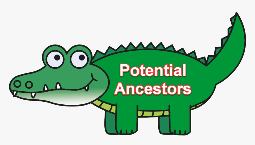 Gator - Clipart Alligator, HD Png Download