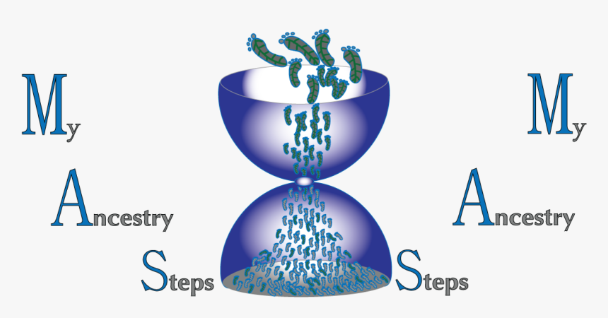 Logo Design By Dtc & Consulting For My Ancestry Steps - Graphic Design, HD Png Download