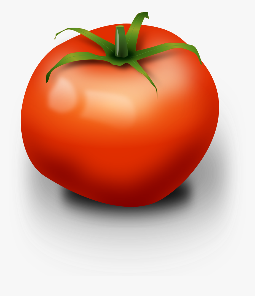 Tomato, Fruit, Red, Edible, Berry, Nightshade - Tomato Clip Art, HD Png Download
