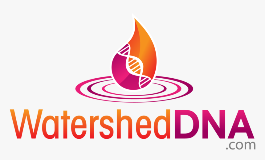 Nordic Labs, HD Png Download