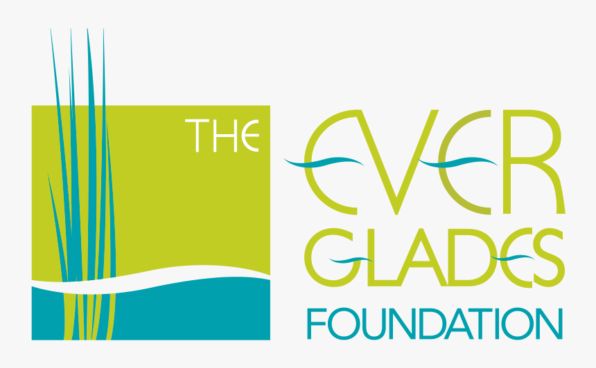 Everglades Foundation, HD Png Download