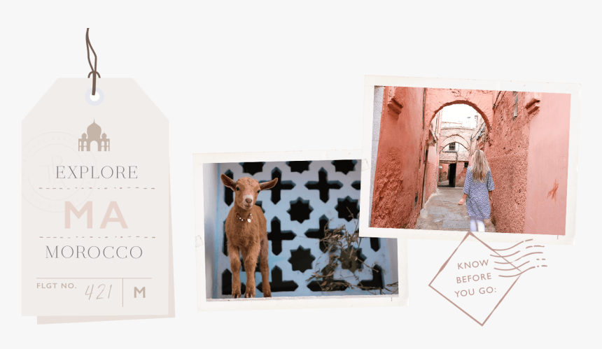 Calf, HD Png Download