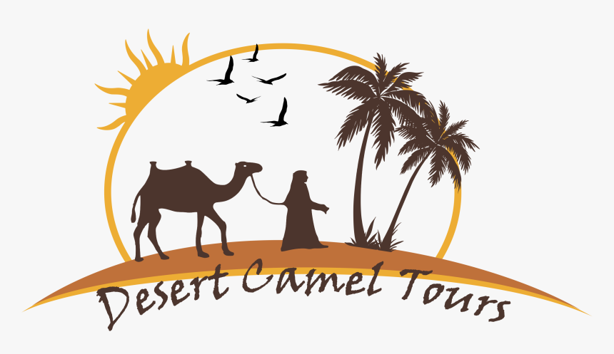 Moroccan Camel Cliparts - Camel Desert Logo, HD Png Download