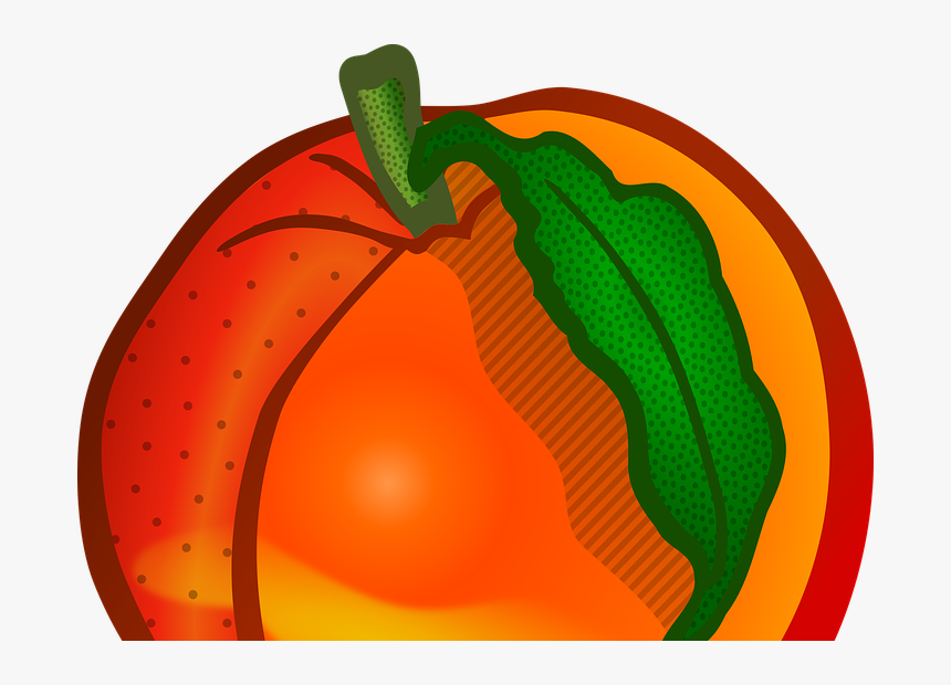 Transparent Quiz Clipart - Clip Art, HD Png Download