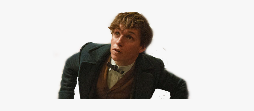#fantasticbeasts #newt #newtscamander #scamander #eddieredmayne - Eddie Redmayne, HD Png Download